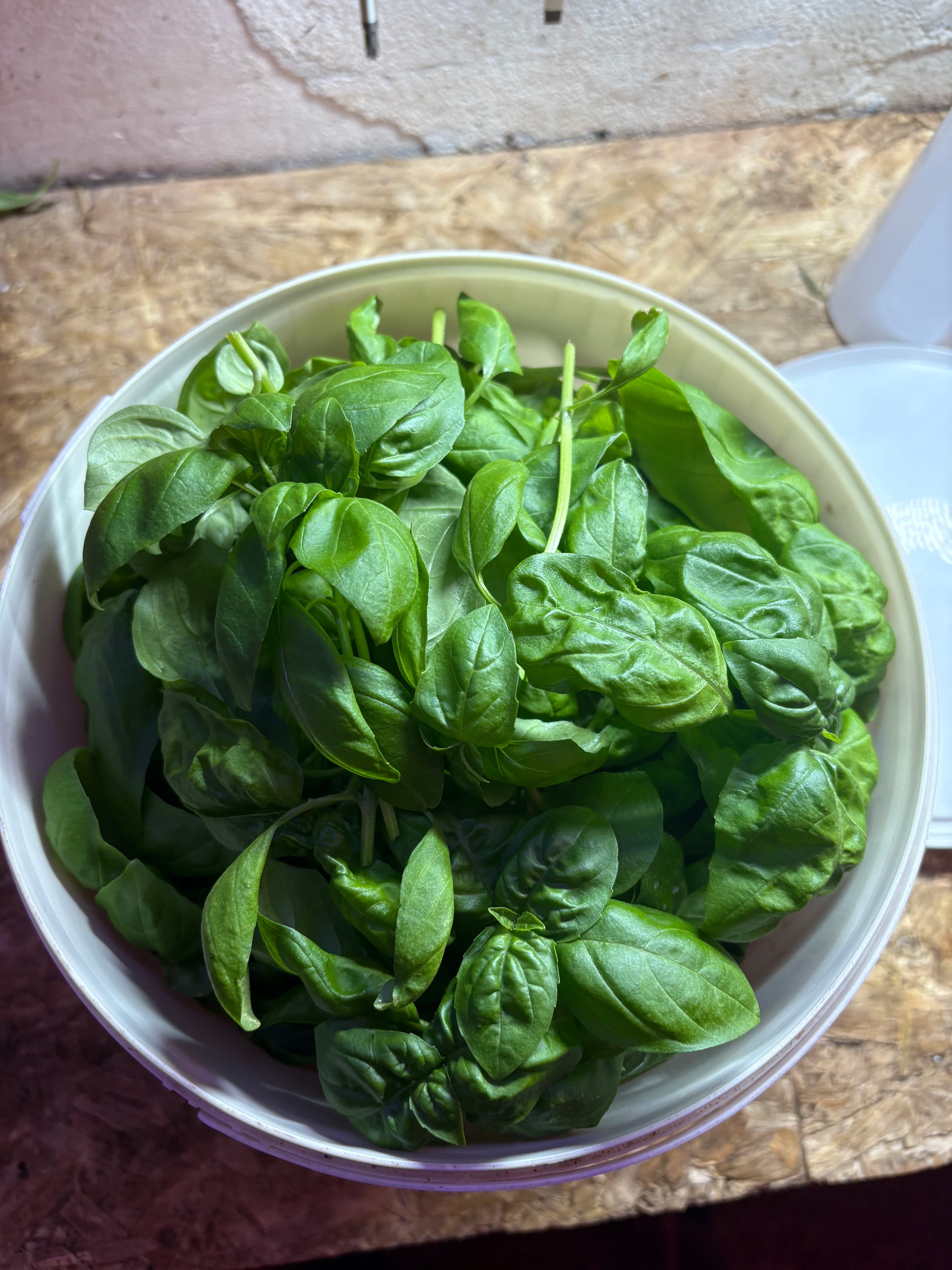 Hydroponic farm technology