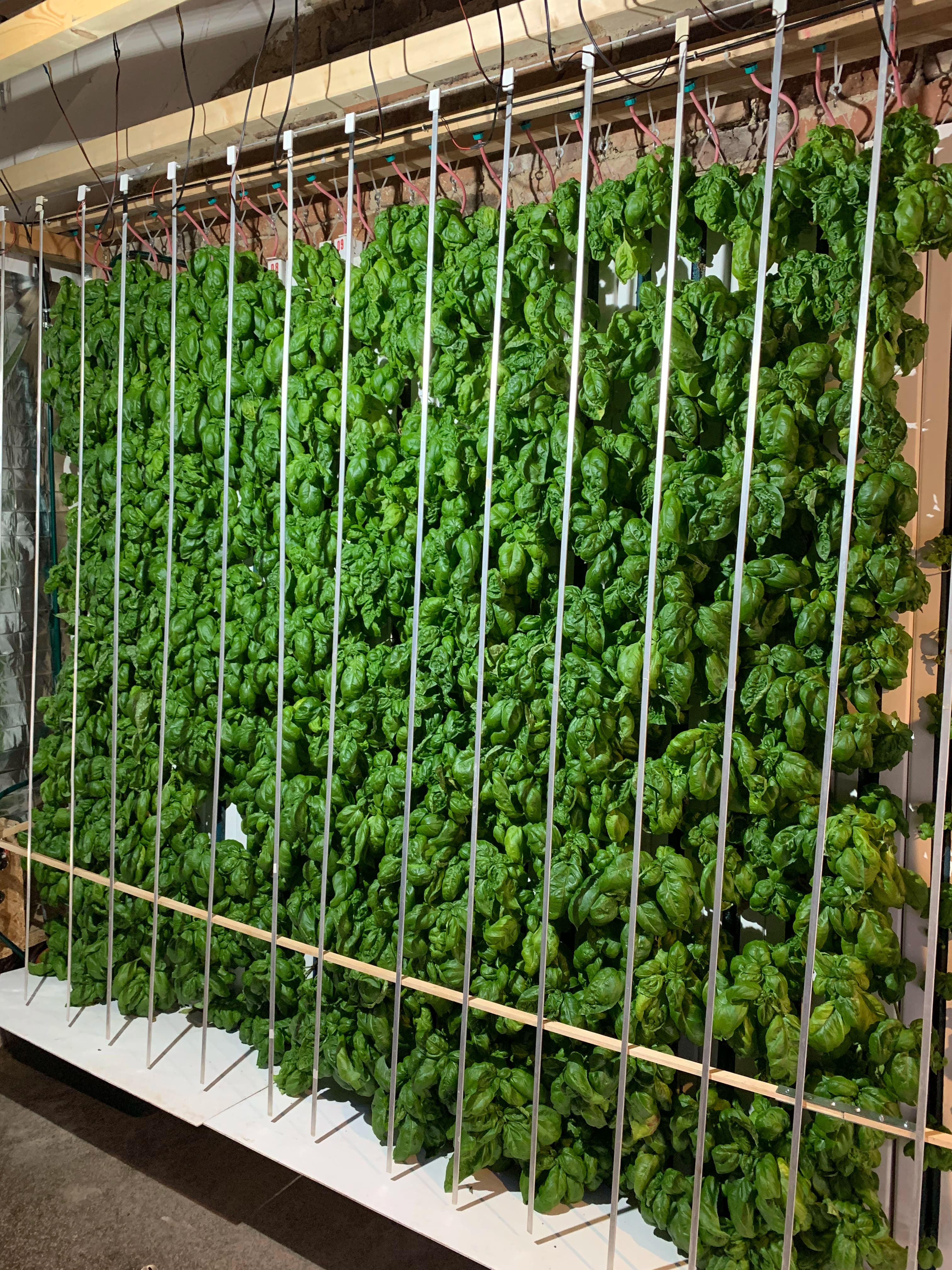 Vertical farm